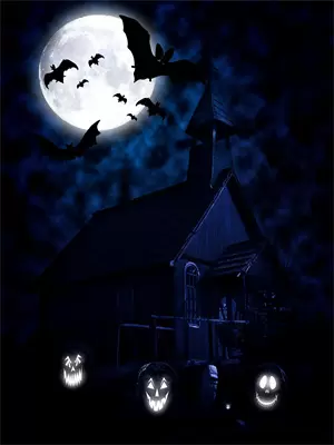 你们让我很失望