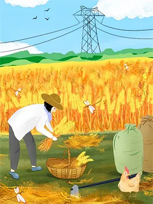 第十次相遇后续